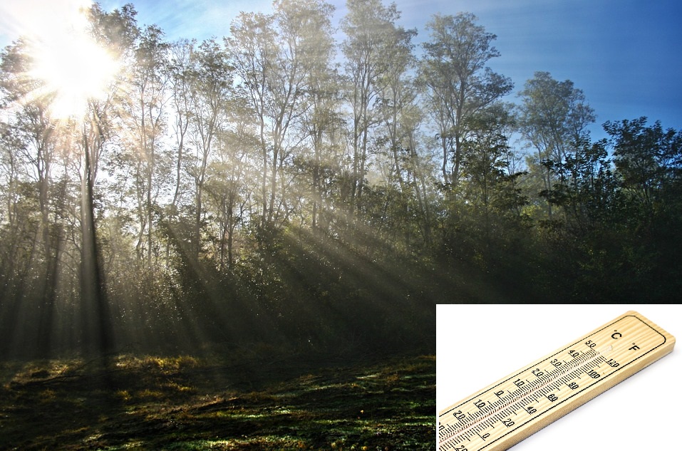 Trainingen gaan deze week ook door!