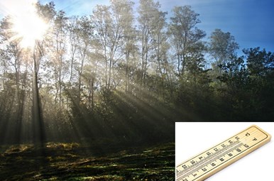 Zon