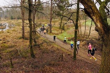 foto woudenberg