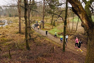 foto woudenberg