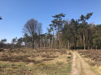 mooie natuur doorn