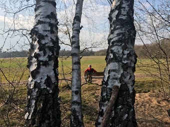 natuur aart